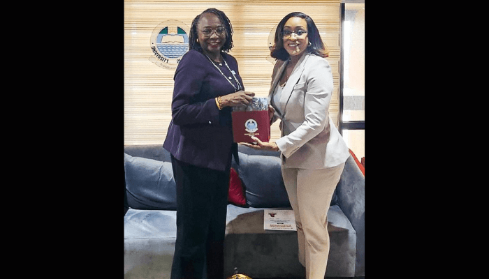 NDPHC reliable power Nigeria