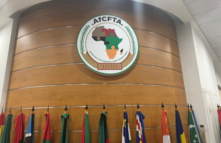 AfCFTA: Africa Trades Just 5% of Its Digital Services within its Own Borders