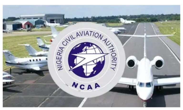 Workers’ strike: Nigerians need safe aviation sector amid crisis – Kudu to NCAA