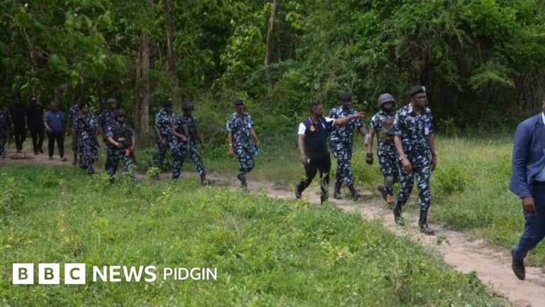 Oyo kidnapped schoolchildren update: Police react to panic for Ogbomosho over fake tori of new bandit attack, Makinde give update
