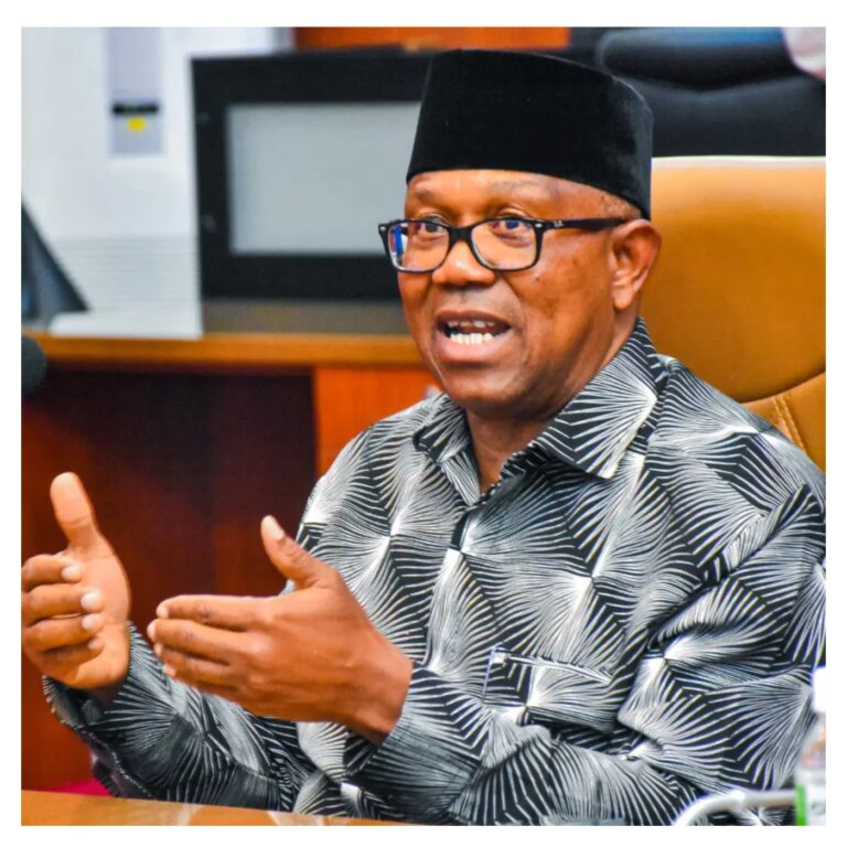 Osun election: Peter Obi warns against violence, urges respect for legitimate results