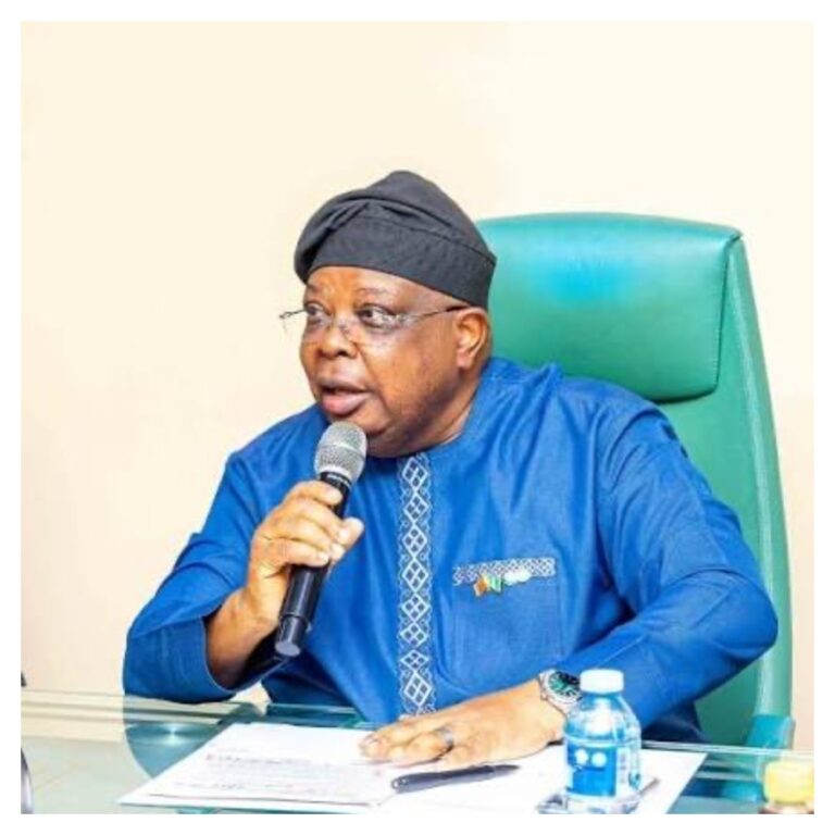 No plans to increase electricity tariffs - Power Minister tells Nigerians