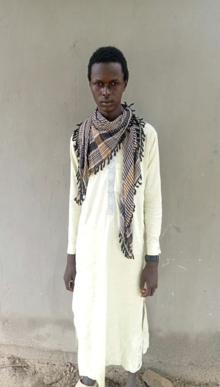 Borno: 25-year-old ISWAP fighter leaves terrorist group, surrenders to troops