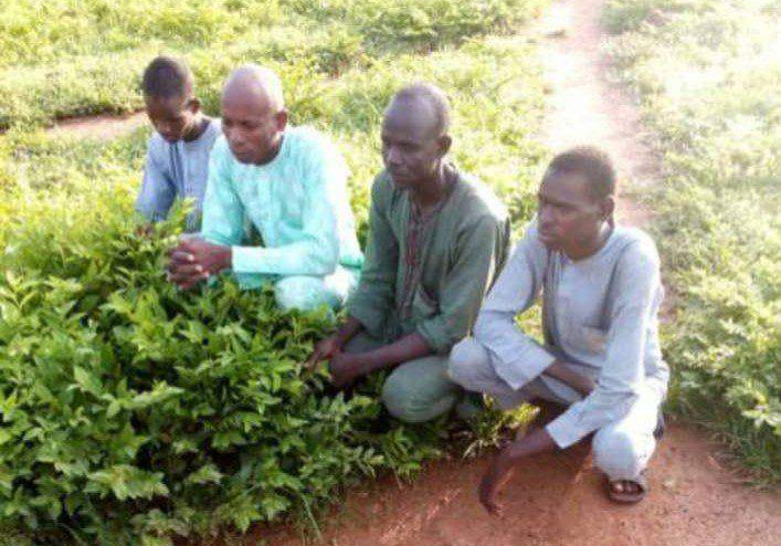 102236 troops rescue several kidnapped victims 102236 troops rescue several kidnapped victims