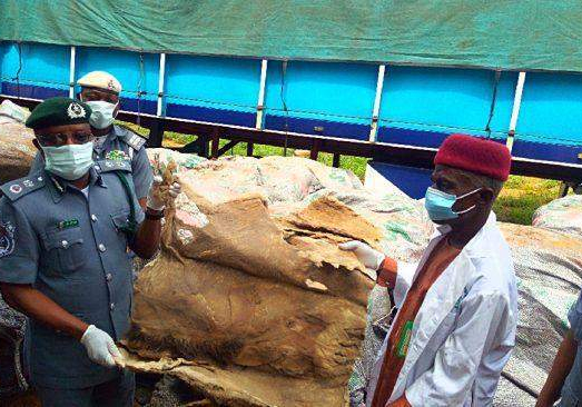 105107 nigerian customs seizes smuggled donkey skin petrol in adamawa taraba