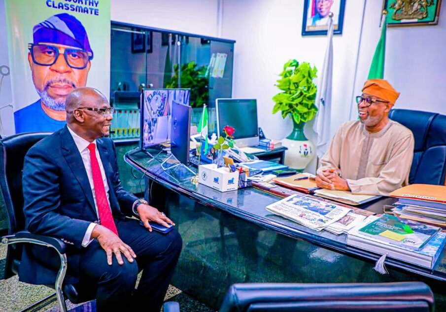 105776 nigerian government to partner with governors to harness solid mineral resources