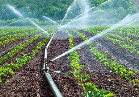 107623 world bank commits to transforming nigerias irrigation farming empowering 130000 farmers 107623 world bank commits to transforming nigerias irrigation farming empowering 130000 farmers