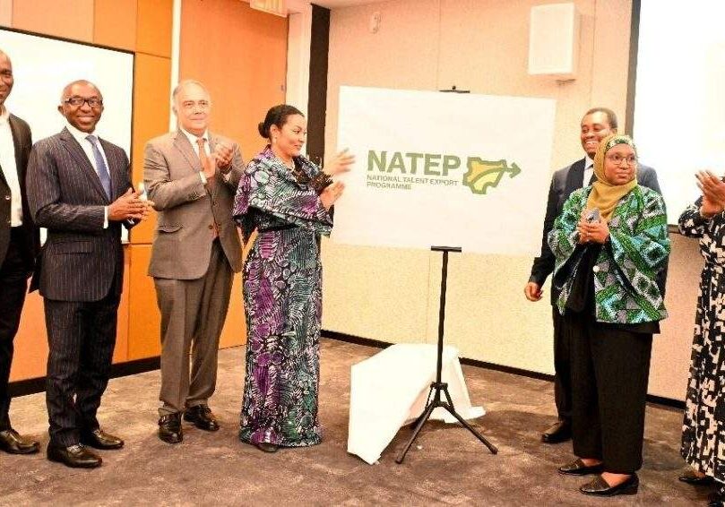108841 nigerian government launches national talent export programme to boost job creation