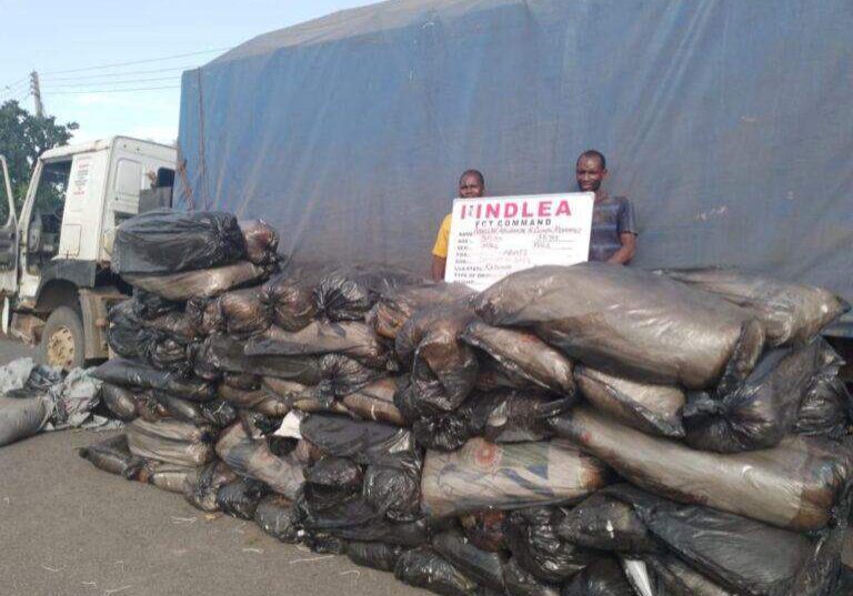 108861 ndlea seizes 4 tons of illicit drugs in multiple states