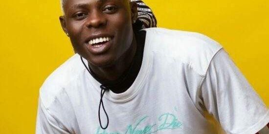 109666 house of representatives calls for justice to safeguard the legacy of late artiste mohbad 109666 house of representatives calls for justice to safeguard the legacy of late artiste mohbad