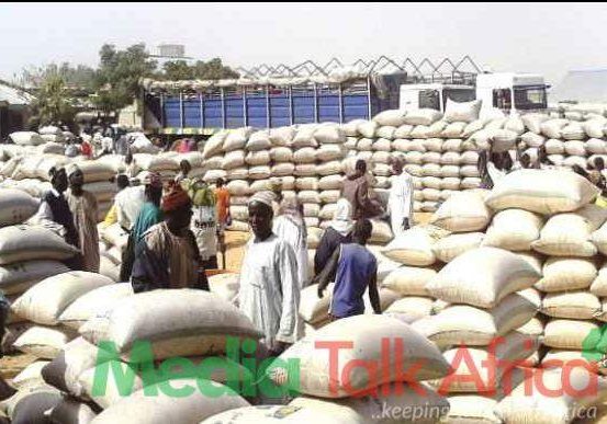 110147 kano state government allocates n600 million for development of dawanau international grains market