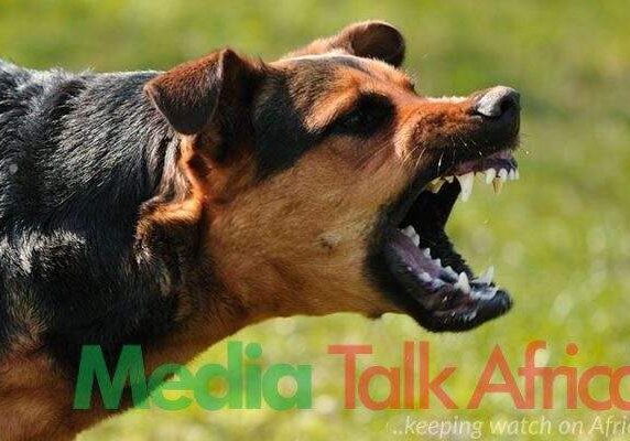 110540 rabies outbreak delta state reports 5 deaths and 60 cases in two months 110540 rabies outbreak delta state reports 5 deaths and 60 cases in two months