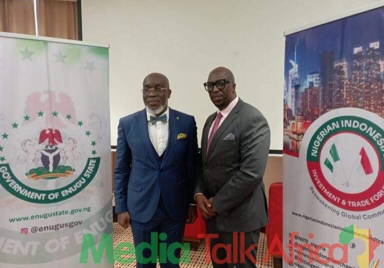111277 enugu state forms partnership with indonesia for industrialization and economic development