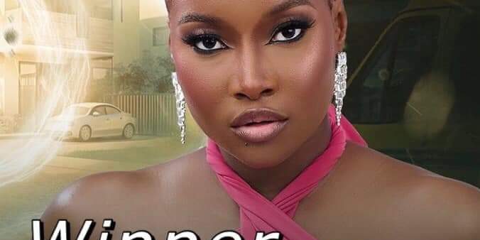 111940 ilebaye emerges victorious in bbnaija all star as she bags n120m 111940 ilebaye emerges victorious in bbnaija all star as she bags n120m