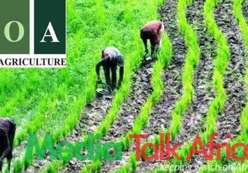 112160 the bank of agriculture struggles to recover n243m loan disbursed to nigerian farmers since 2011