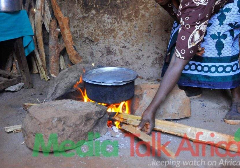 113160 bauchi residents opt for firewood charcoal as cooking gas price hits n1000 per kg