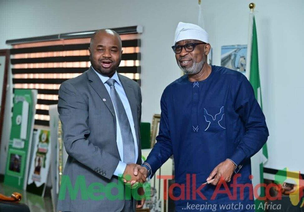 113370 solid minerals will boost nigerias revenue firs boss