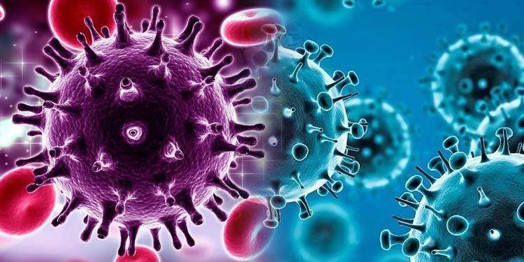 11683 HIV Covid 19 pandemic 11683 HIV Covid 19 pandemic