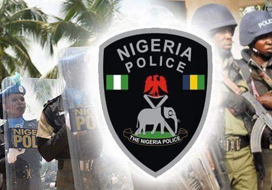 11968 dont portray police negatively before young ones fpro urges nigerians 11968 dont portray police negatively before young ones fpro urges nigerians