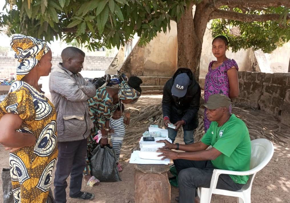 12082 pvc collection amid extension ondo records low turn out
