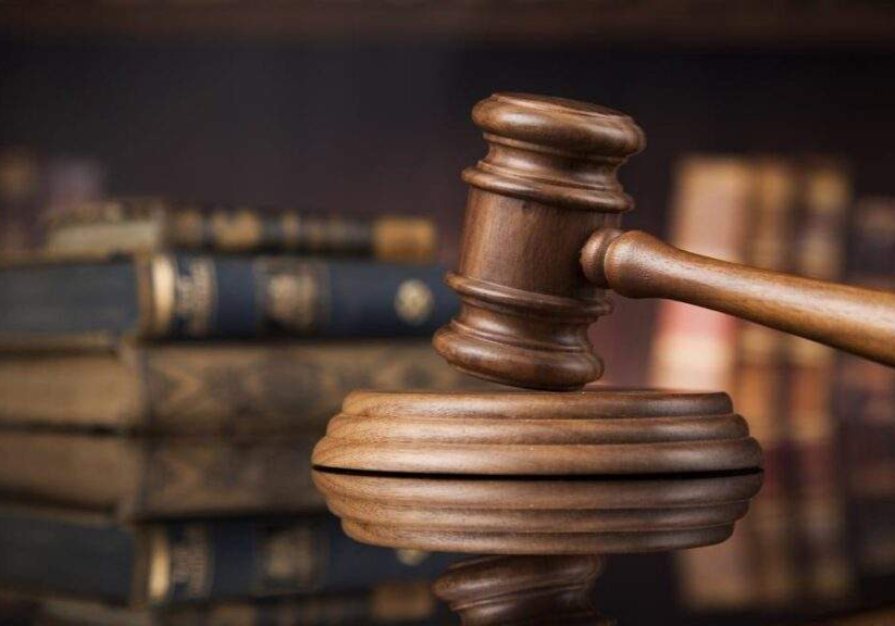 12235 court reinstates unlawfully dismissed immigration officer