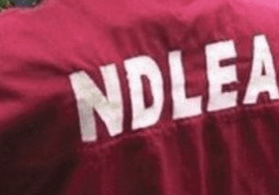 12313 ndlea.fw 12313 ndlea.fw