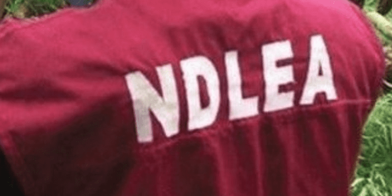 12313 ndlea.fw 12313 ndlea.fw
