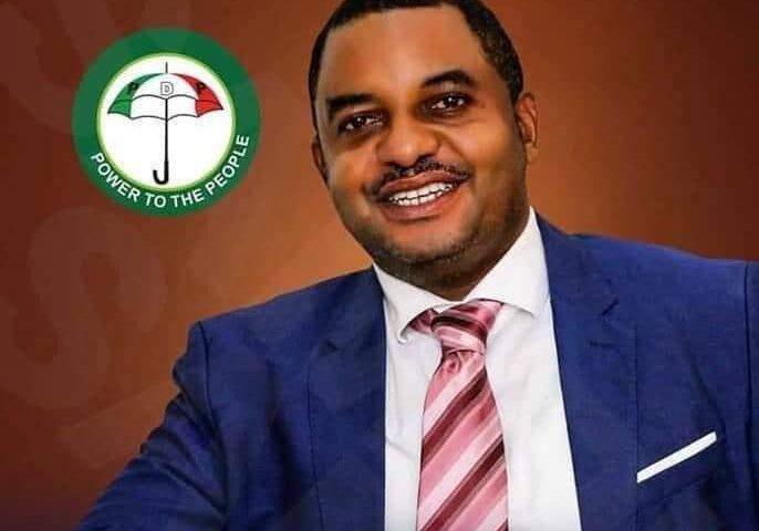 125660 appeal court affirms imo pdp primaries upholds rep chinedus election