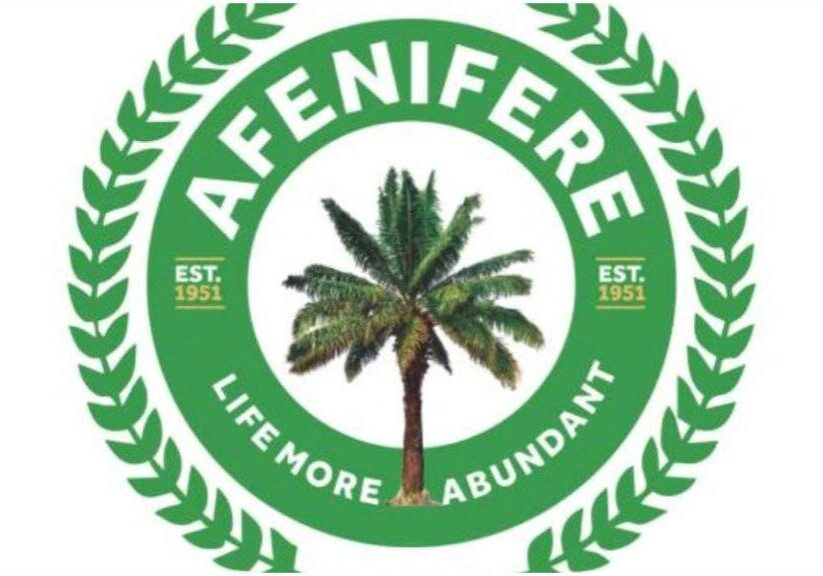127249 afenifere criticizes supreme courts decision on tinubus election victory