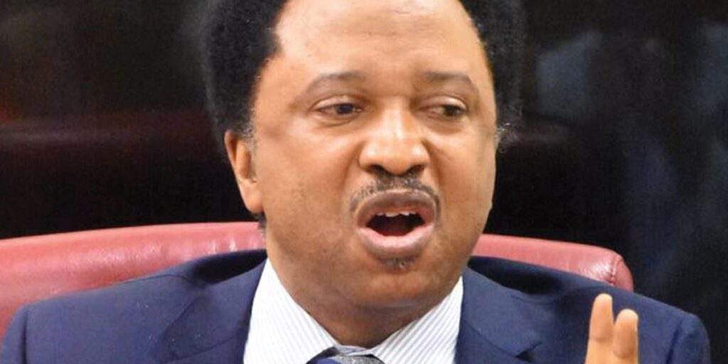 128005 shehu sani the influence of money in nigerian politics 128005 shehu sani the influence of money in nigerian politics
