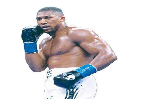 12930 ANTHONY JOSHUA