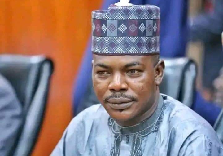 131789 borno senator urges overhaul of nigerian legislation 131789 borno senator urges overhaul of nigerian legislation