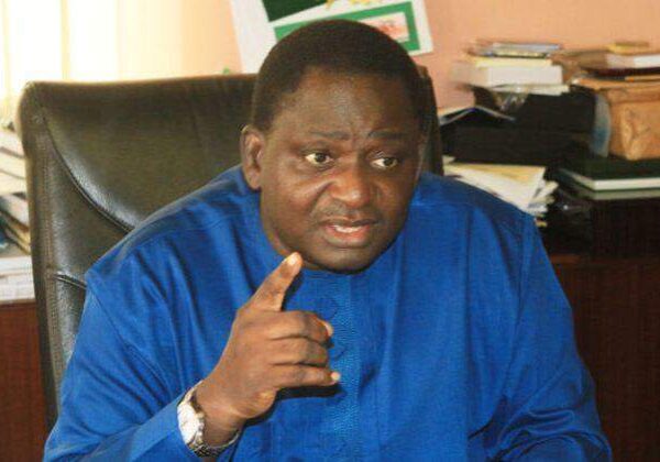 13245 Femi Adesina 13245 Femi Adesina