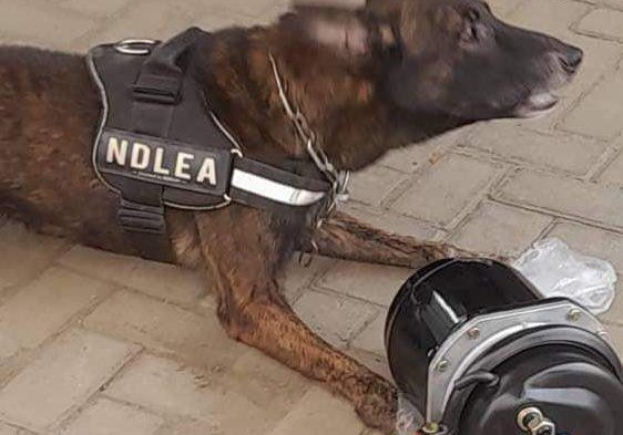 13969 ndlea bursts trans border cartel seizes skunk meth in compressors