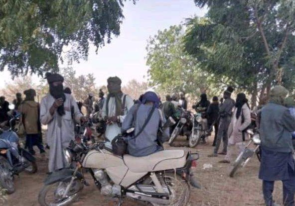 15625 katsina govt investigates killing of 41 by terrorists