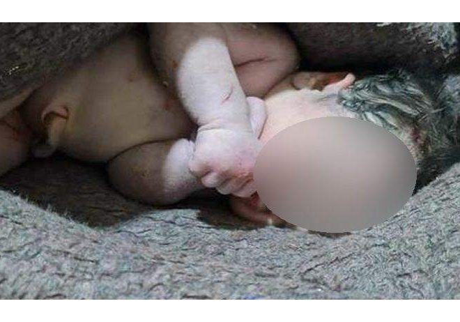16561 The baby
