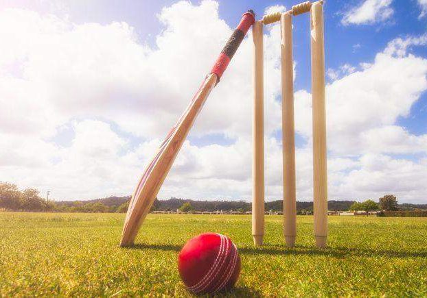 16861 cricket 16861 cricket