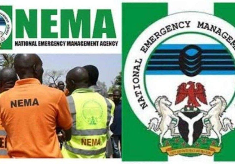17264 2023 election nema calls for proactive measures to forestall violence 17264 2023 election nema calls for proactive measures to forestall violence