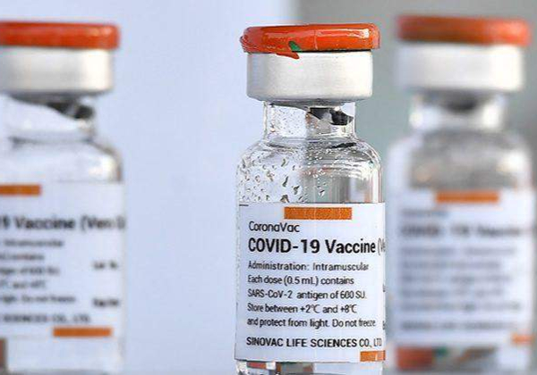 17306 Sinovac Covid vaccine