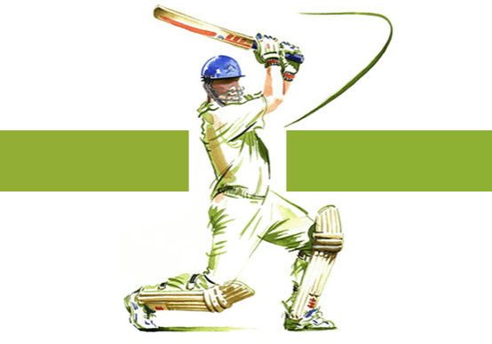 17941 Cricket 17941 Cricket