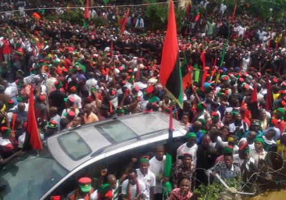 18805 IPOB members