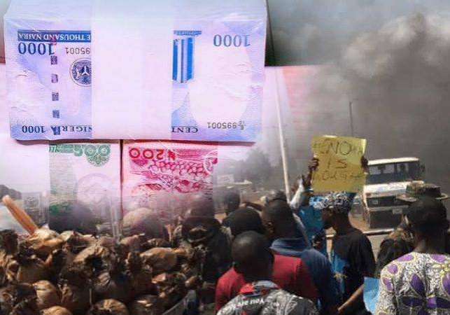 19849 new naira chaos 19849 new naira chaos