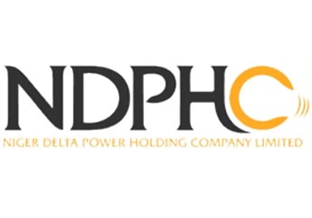 2,000MW electricity generation capacity stranded due to N600bn debt - NDPHC