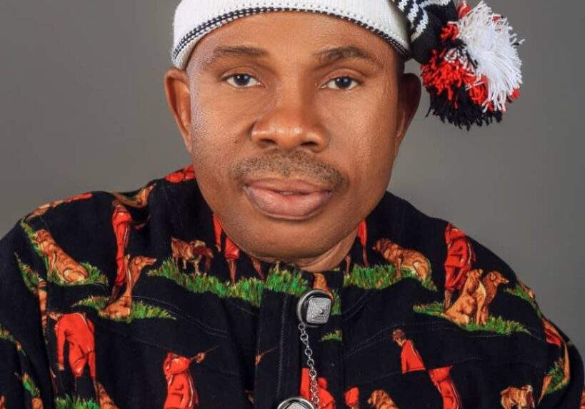 20026 apc iroakazi did not participate in abia assembly primaries adighibe claims