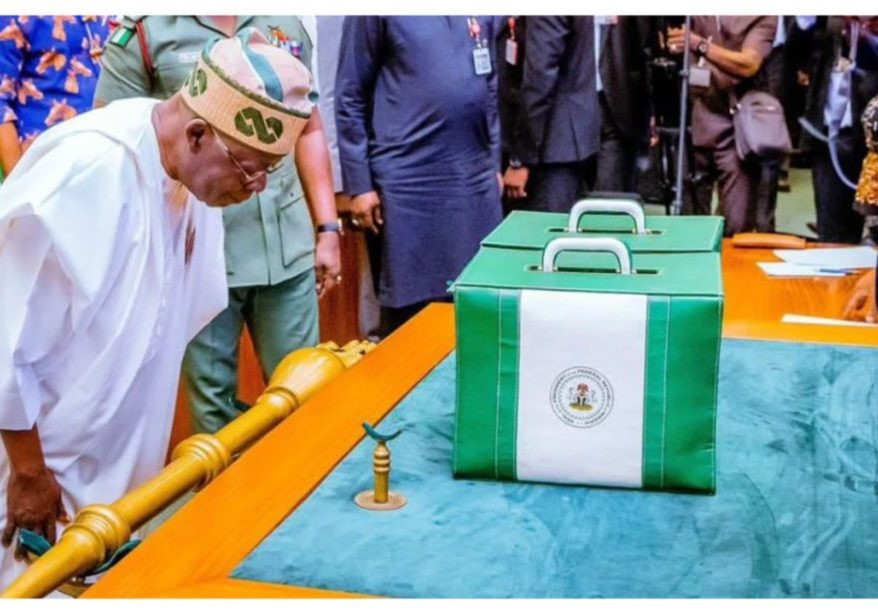 2026 Budget: Economists reveal major strengths, fault lines in Tinubu’s proposal