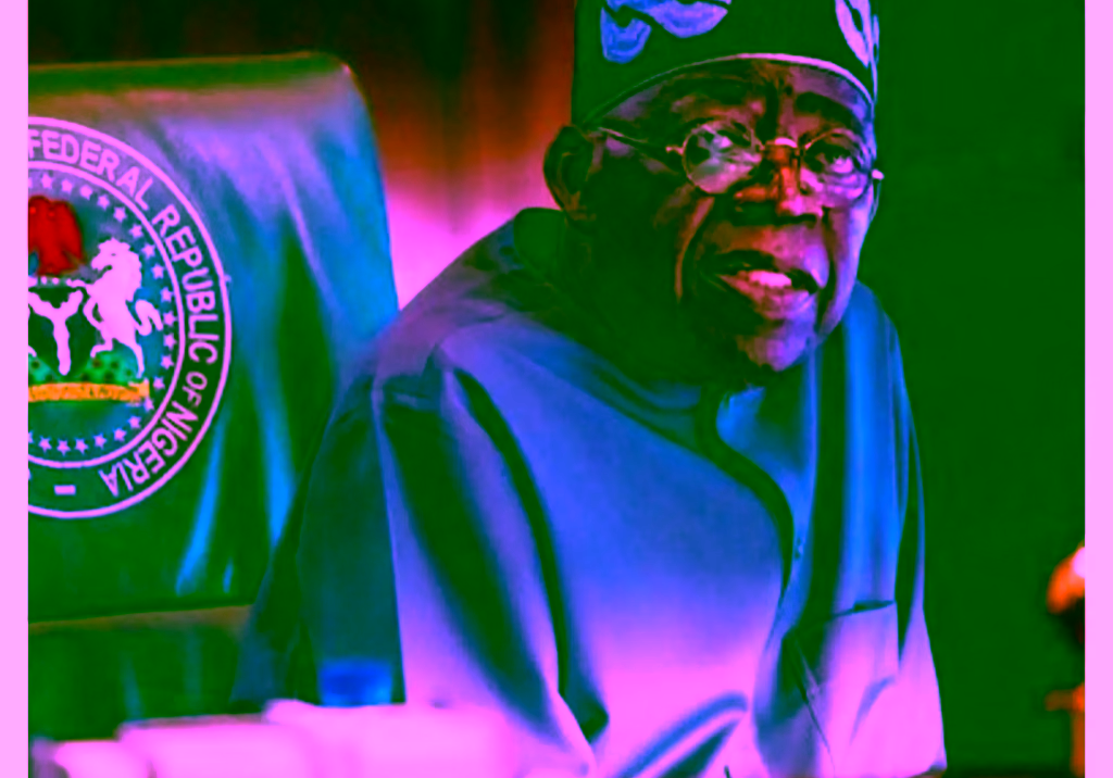 2027: Choosing a northern Christian as a VP will benefit Tinubu - Arewa youth