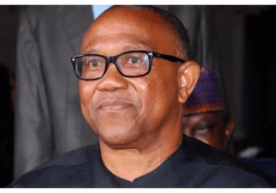 2027: He is coming - El-Rufai's son, Bashir hints on 2027: He is coming - El-Rufai's son, Bashir hints on Peter Obi joining SDP
