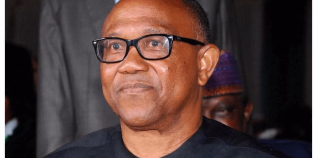 2027: He is coming - El-Rufai's son, Bashir hints on 2027: He is coming - El-Rufai's son, Bashir hints on Peter Obi joining SDP