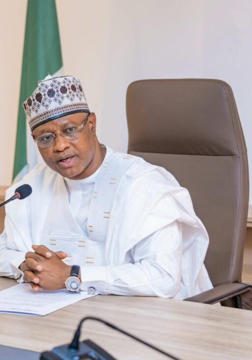 2027: Nigerians will vote APC from top to bottom - Governor Sani
