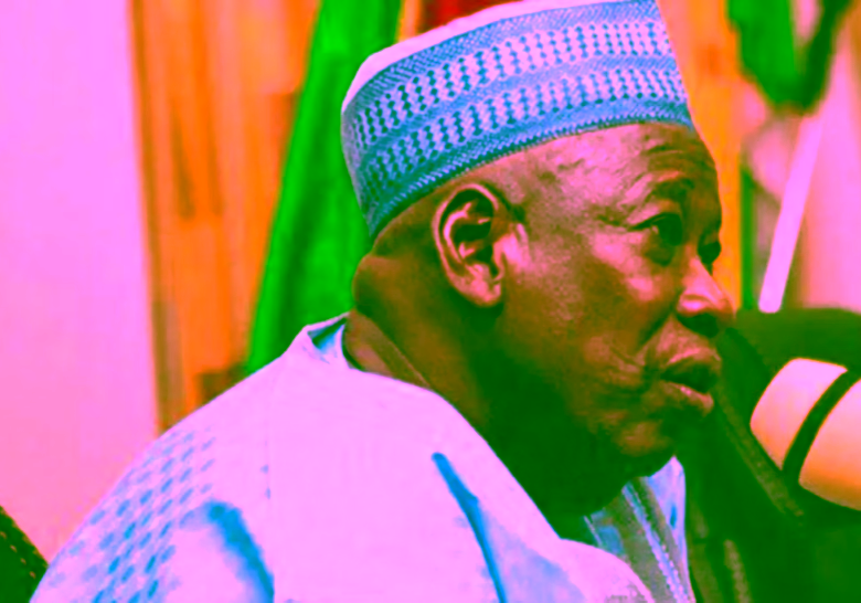 2027: No political gang up will stop Tinubu's re-election - Ganduje